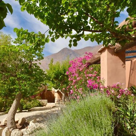 Bed and Breakfast Refugio Misterios Del Elqui Pisco Elqui Zewnętrze zdjęcie