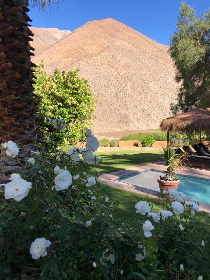 Bed and Breakfast Refugio Misterios Del Elqui Pisco Elqui Zewnętrze zdjęcie