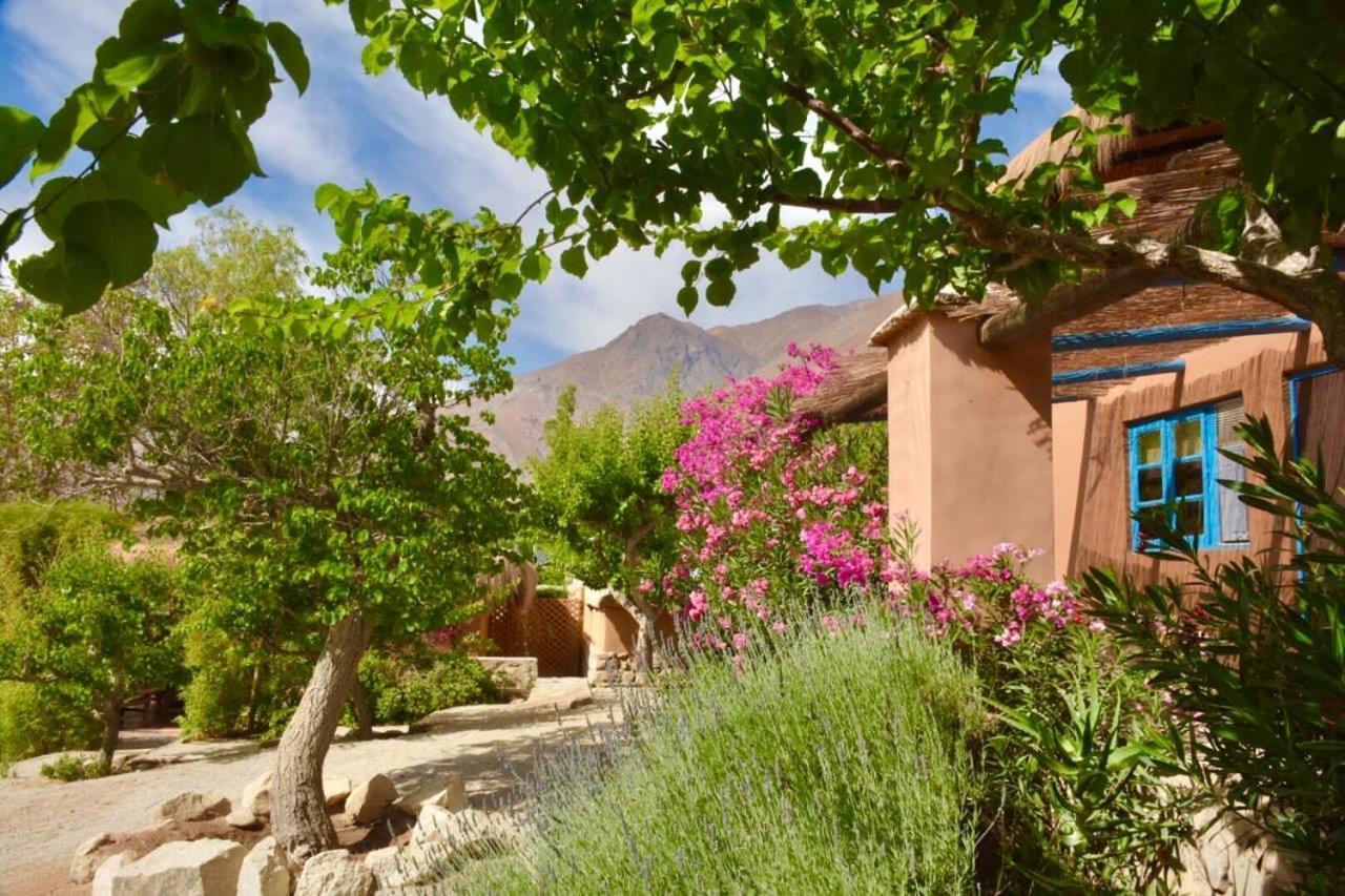 Bed and Breakfast Refugio Misterios Del Elqui Pisco Elqui Zewnętrze zdjęcie
