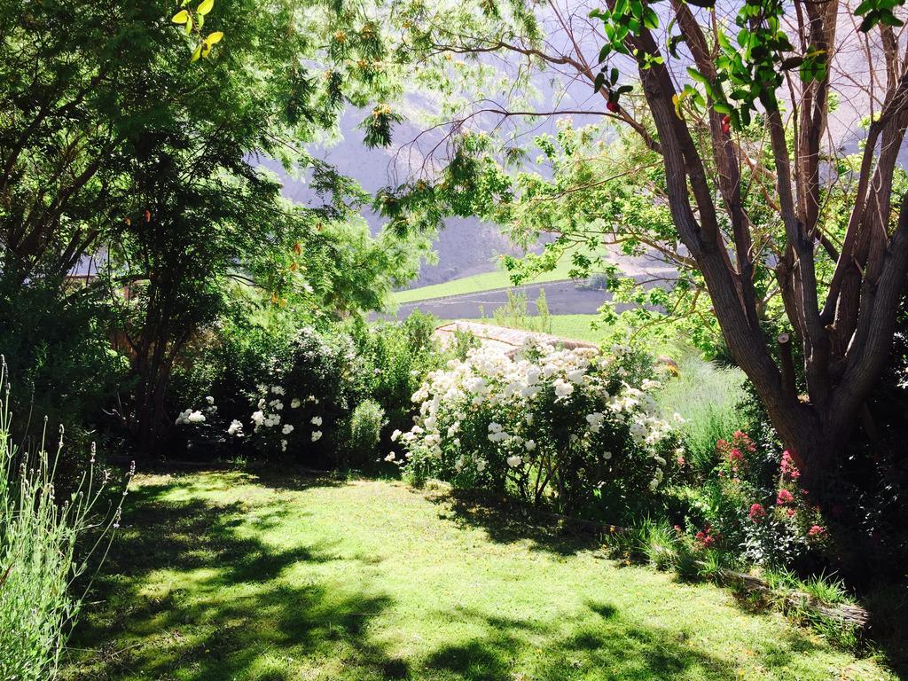 Bed and Breakfast Refugio Misterios Del Elqui Pisco Elqui Zewnętrze zdjęcie