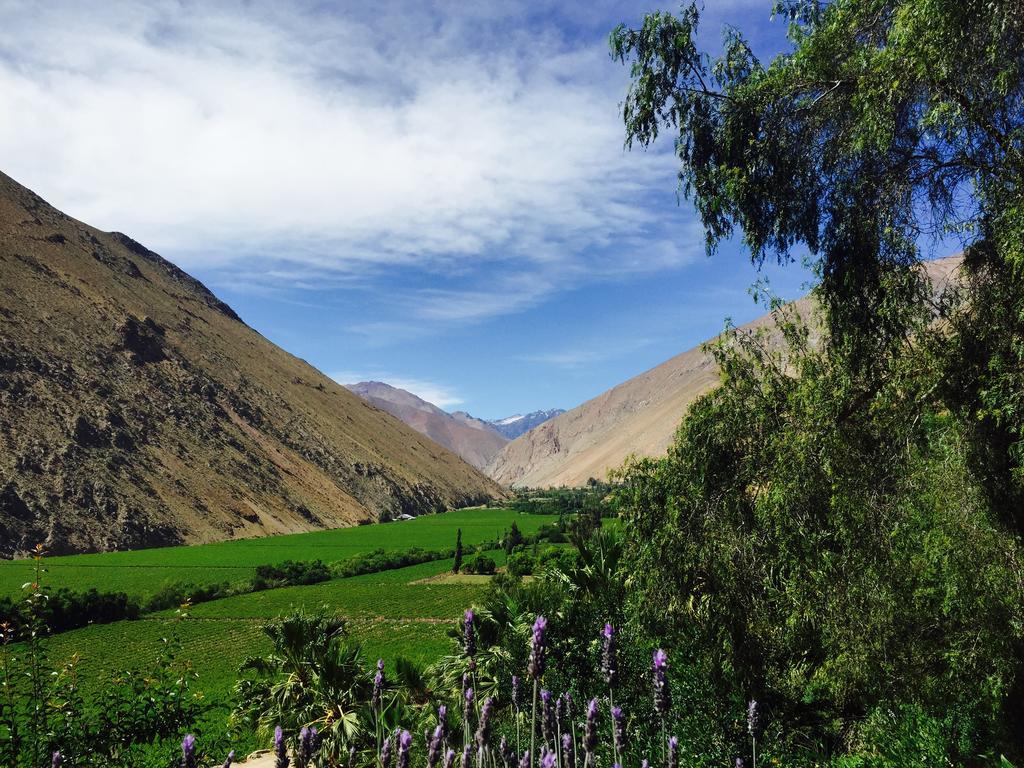 Bed and Breakfast Refugio Misterios Del Elqui Pisco Elqui Zewnętrze zdjęcie