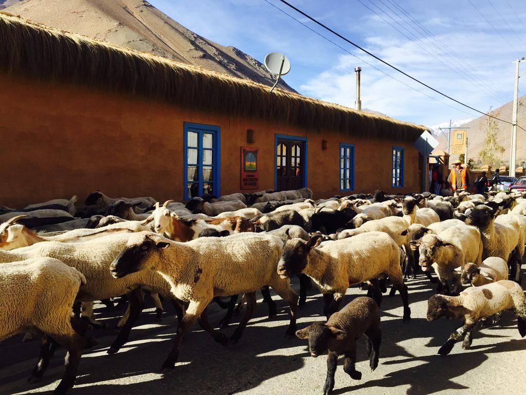 Bed and Breakfast Refugio Misterios Del Elqui Pisco Elqui Zewnętrze zdjęcie