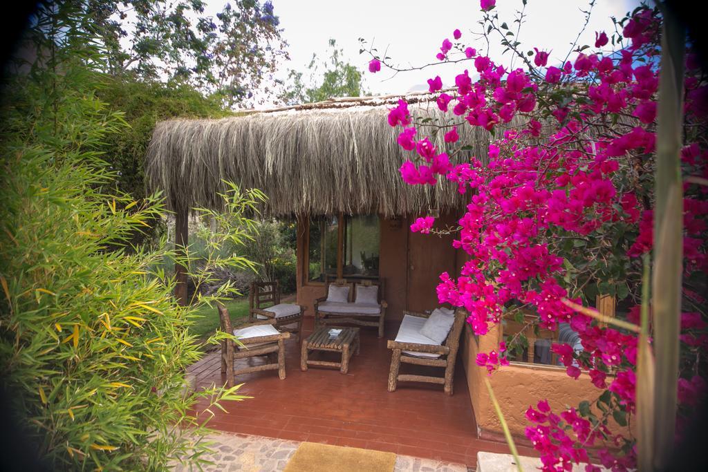 Bed and Breakfast Refugio Misterios Del Elqui Pisco Elqui Zewnętrze zdjęcie