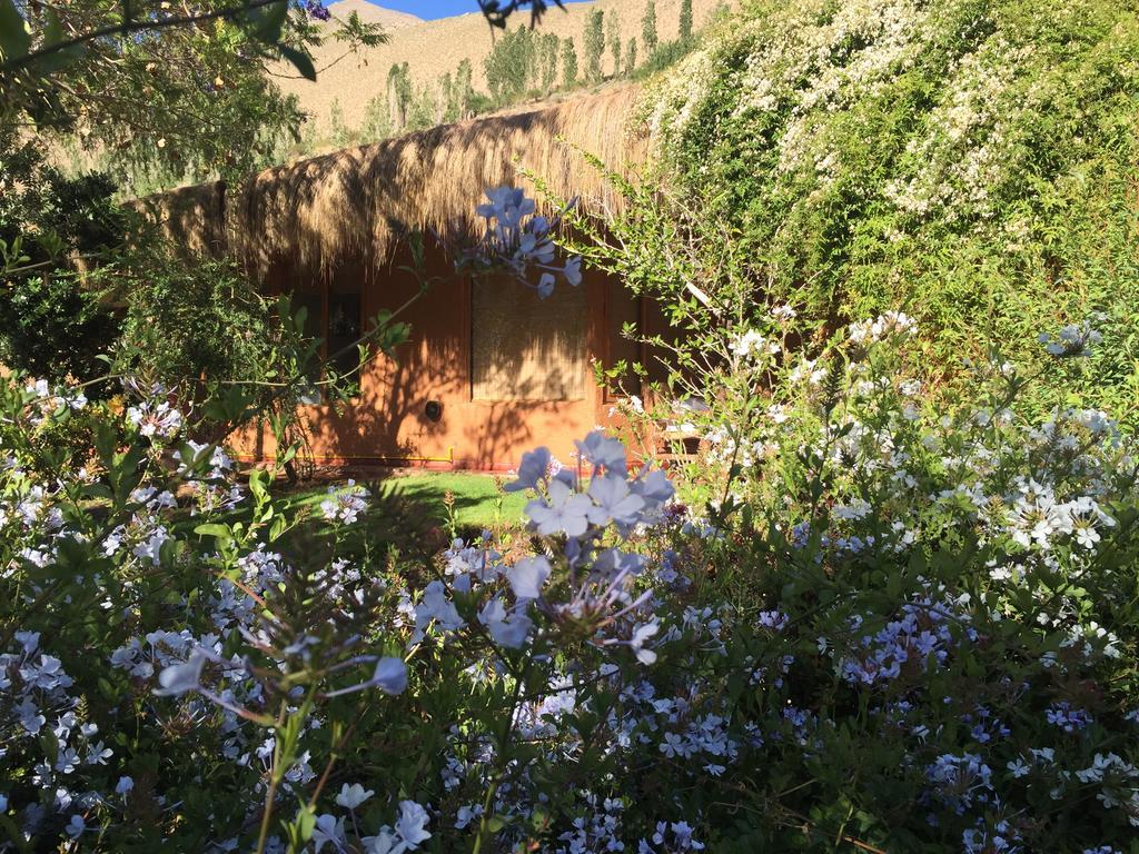 Bed and Breakfast Refugio Misterios Del Elqui Pisco Elqui Zewnętrze zdjęcie