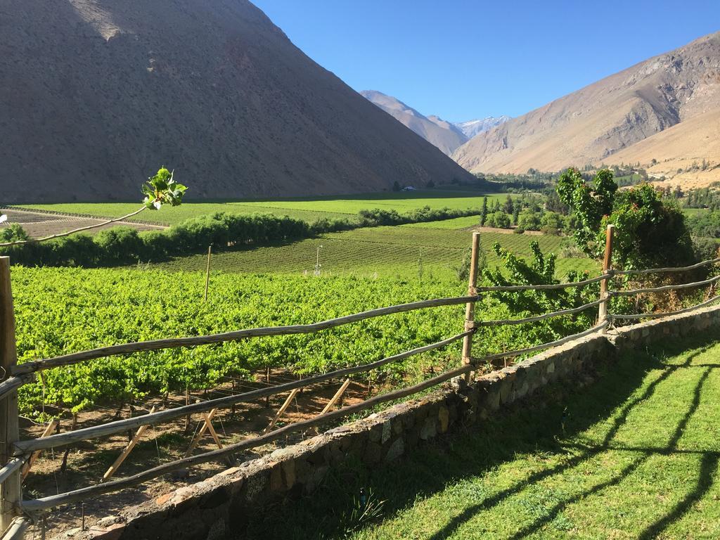 Bed and Breakfast Refugio Misterios Del Elqui Pisco Elqui Zewnętrze zdjęcie
