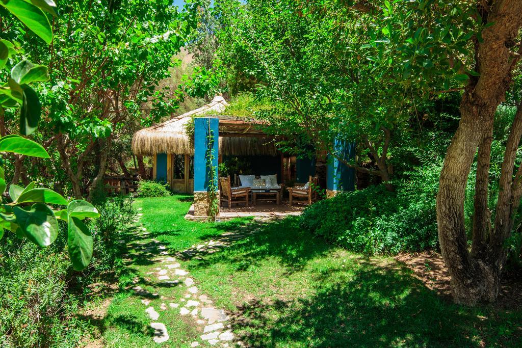 Bed and Breakfast Refugio Misterios Del Elqui Pisco Elqui Zewnętrze zdjęcie