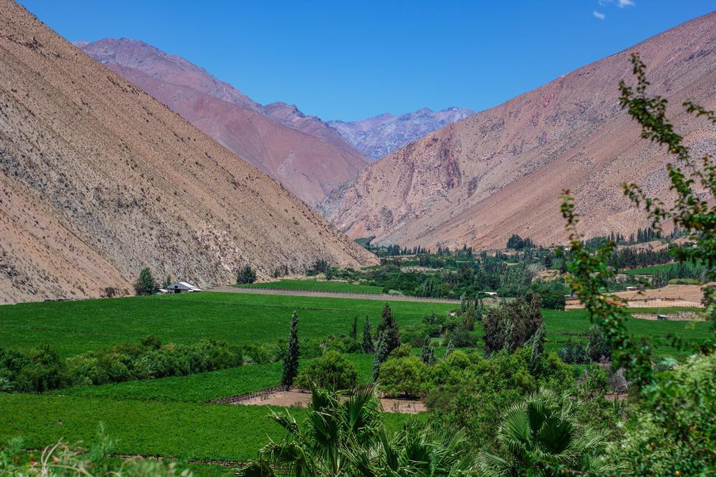 Bed and Breakfast Refugio Misterios Del Elqui Pisco Elqui Zewnętrze zdjęcie